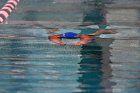 MSwim vs USCGA  Men’s Swimming & Diving vs US Coast Guard Academy. : MSwim, swimming